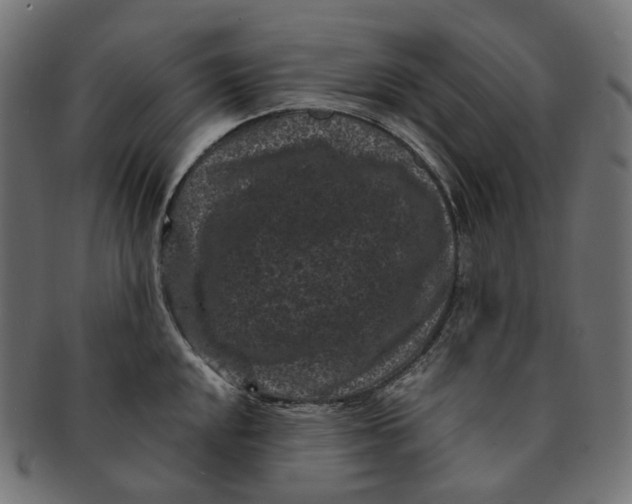 X0000091731048200709211016