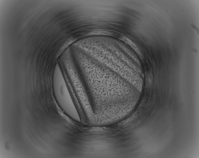 X0000091731049200709211016