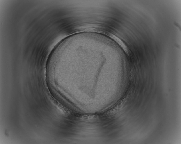 X0000091731051200709211016