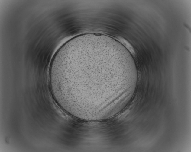 X0000091731052200709211016