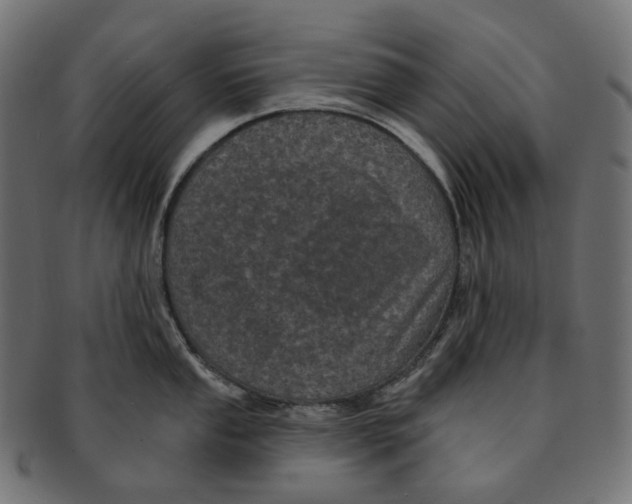 X0000091731053200709211016