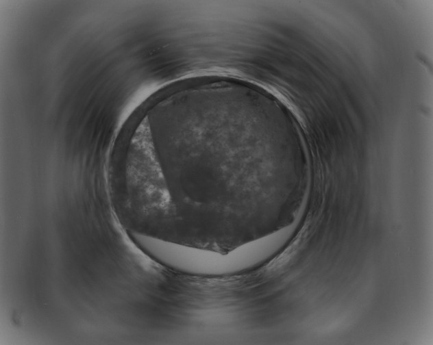 X0000091731054200709211016