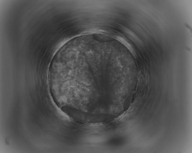 X0000091731055200709211016