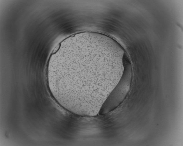 X0000091731056200709211016