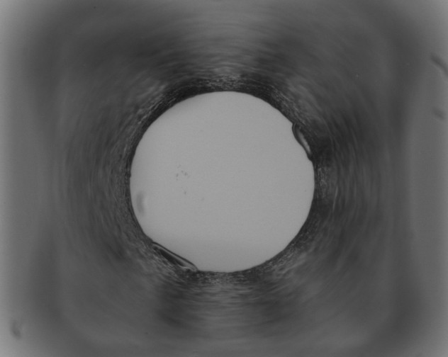 X0000091731057200709211016