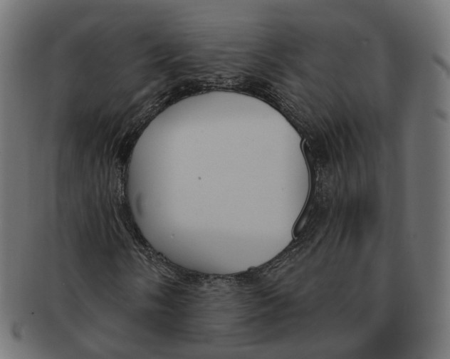 X0000091731058200709211016