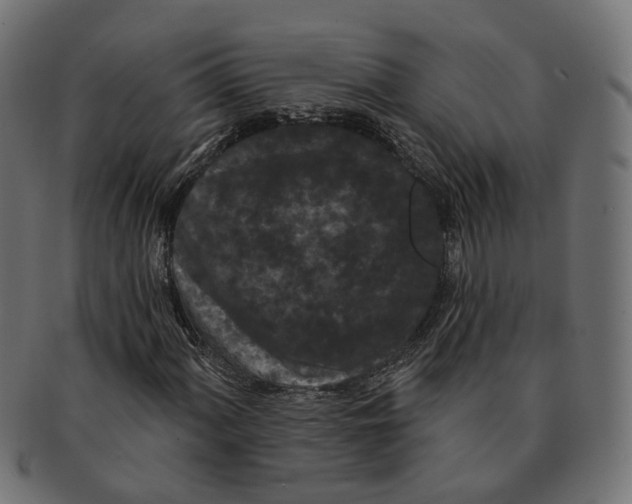 X0000091731060200709211016