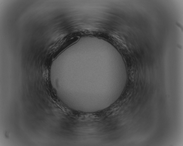 X0000091731061200709211016