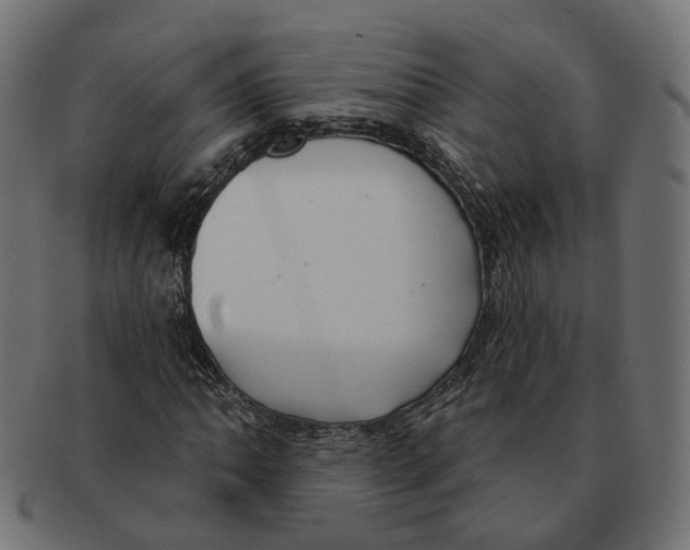 X0000091731062200709211016