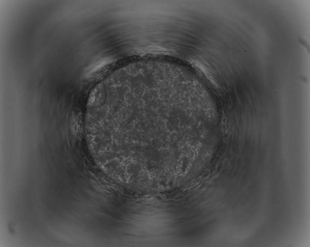 X0000091731063200709211016