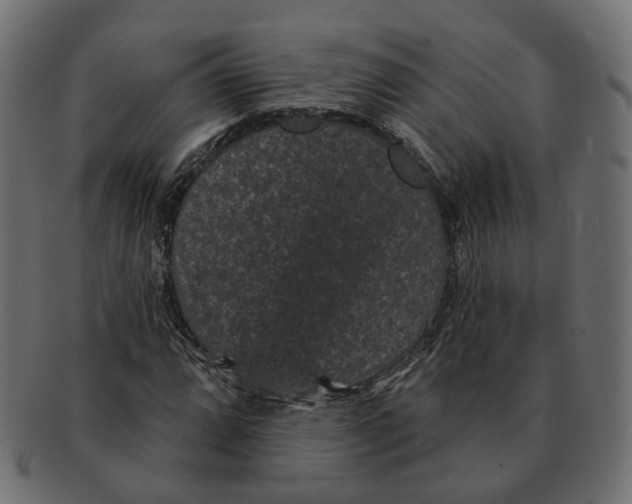 X0000091731064200709211016