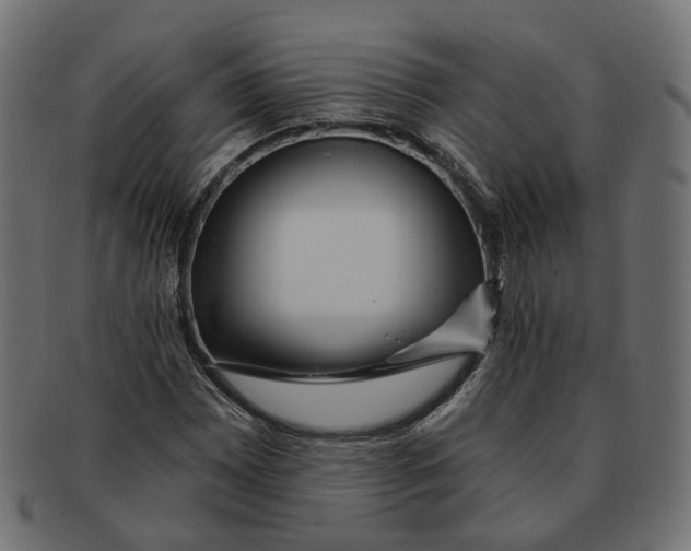 X0000091731065200709211016