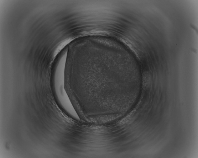 X0000091731066200709211016