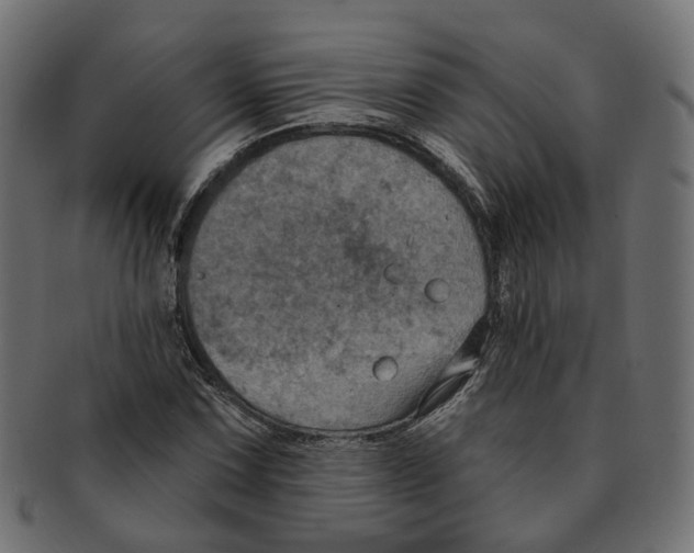 X0000091731067200709211016