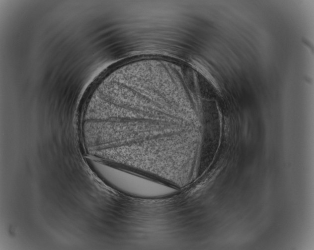 X0000091731068200709211015