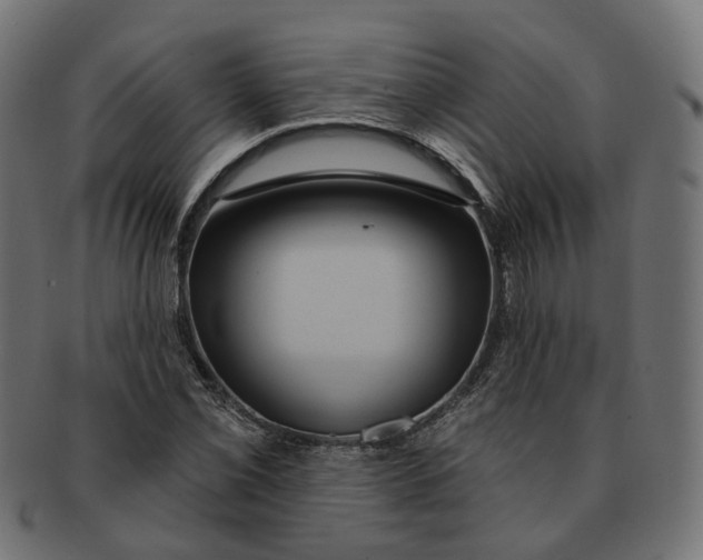 X0000091731069200709211015