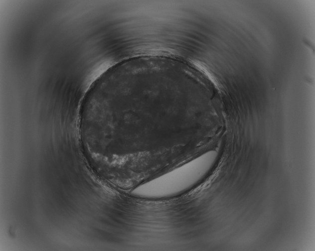 X0000091731071200709211015