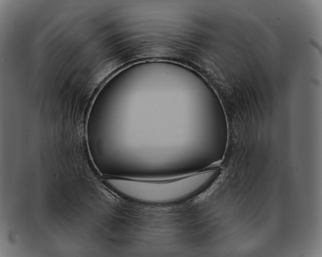 X0000091731073200709211015