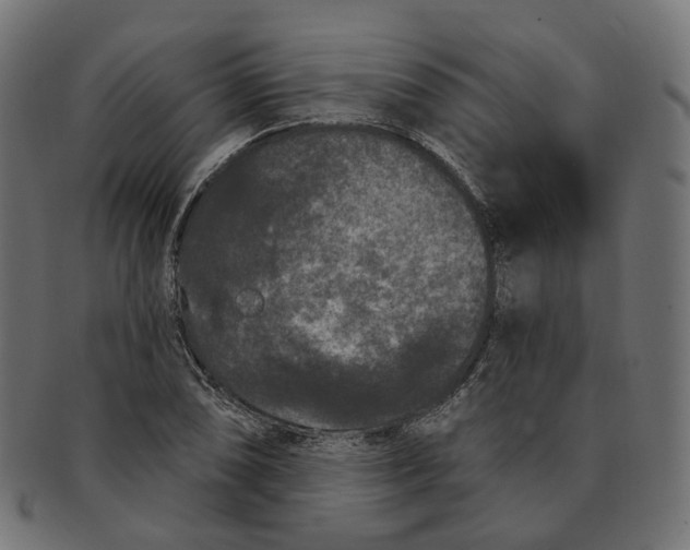 X0000091731074200709211015