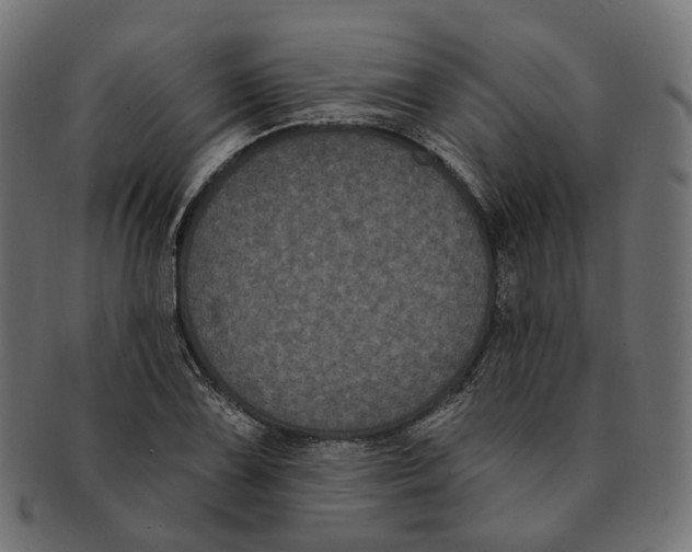 X0000091731075200709211015