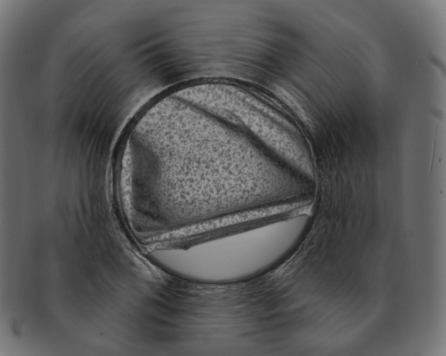 X0000091731076200709211015