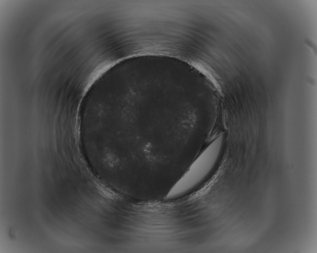 X0000091731077200709211015