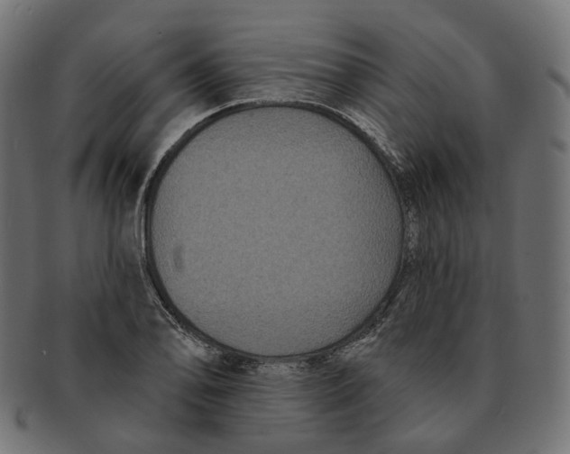 X0000091731078200709211015