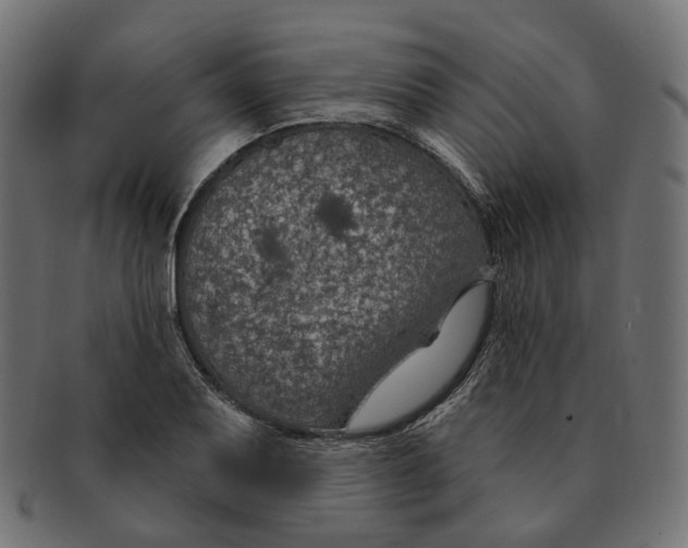 X0000091731079200709211015