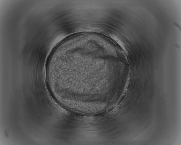 X0000091731080200709211015