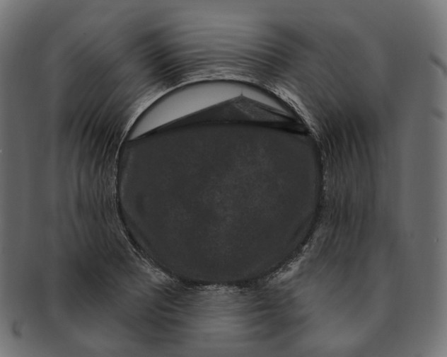 X0000091731081200709211015