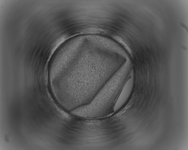 X0000091731083200709211015