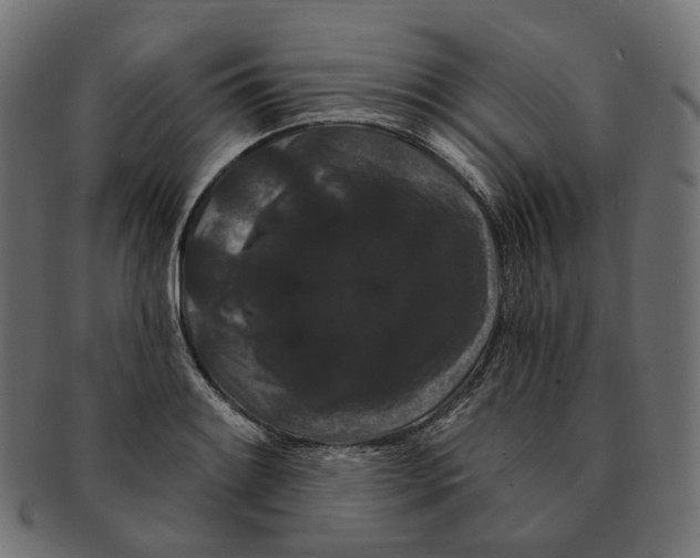 X0000091731084200709211015