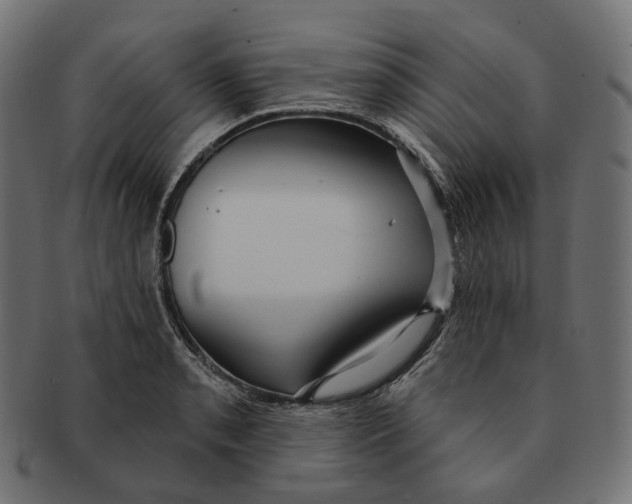 X0000091731085200709211015