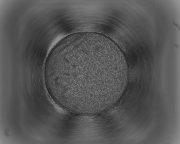 X0000091731086200709211015