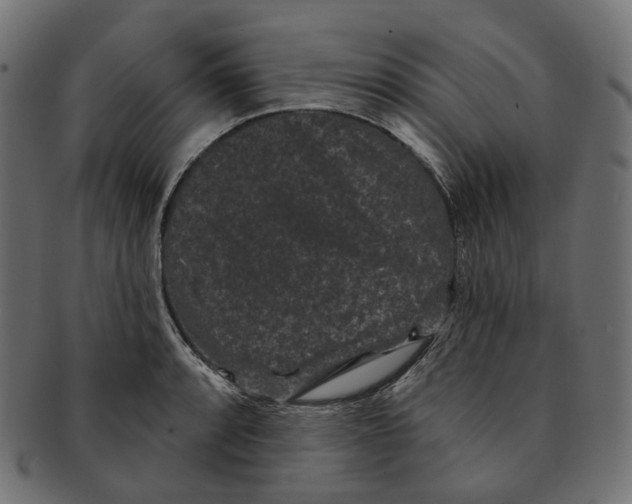 X0000091731088200709211015