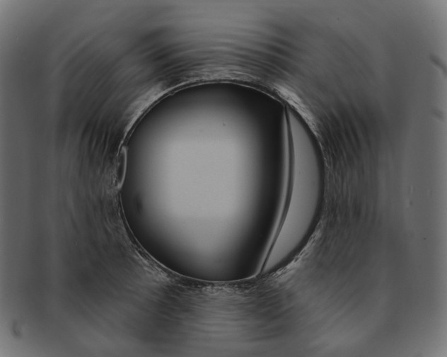 X0000091731089200709211015