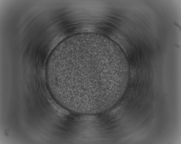 X0000091731090200709211015