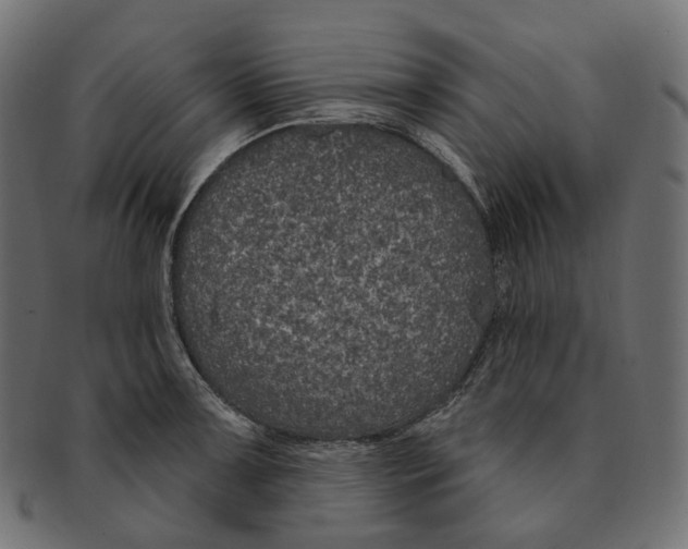 X0000091731091200709211015