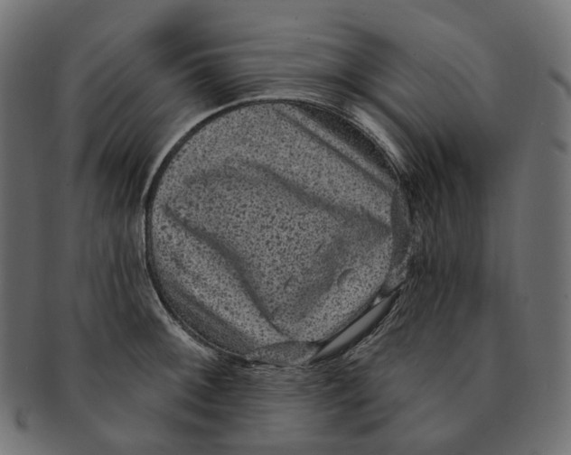 X0000091731092200709211015