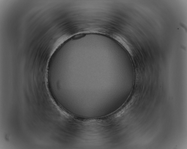 X0000091731093200709211015