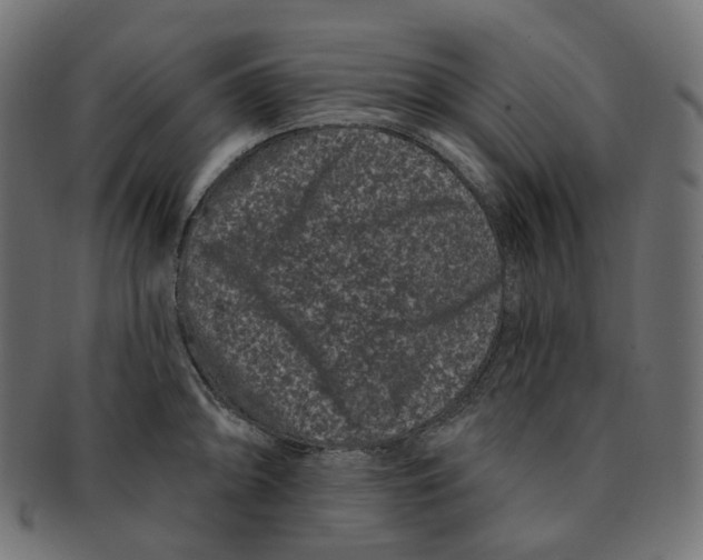 X0000091731094200709211015