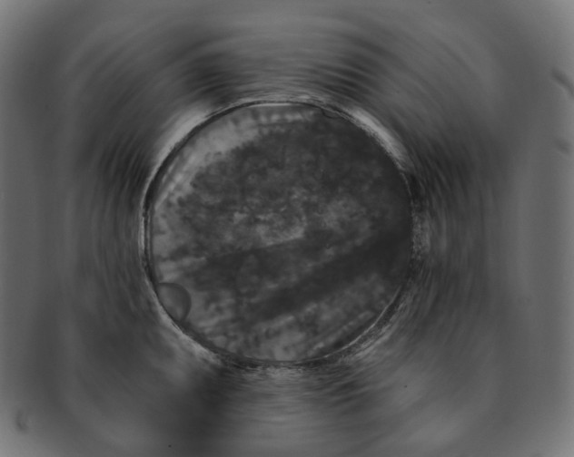 X0000091731095200709211015