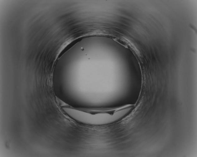 X0000091731097200709211015