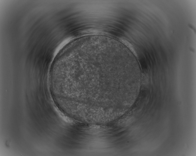 X0000091731098200709211015