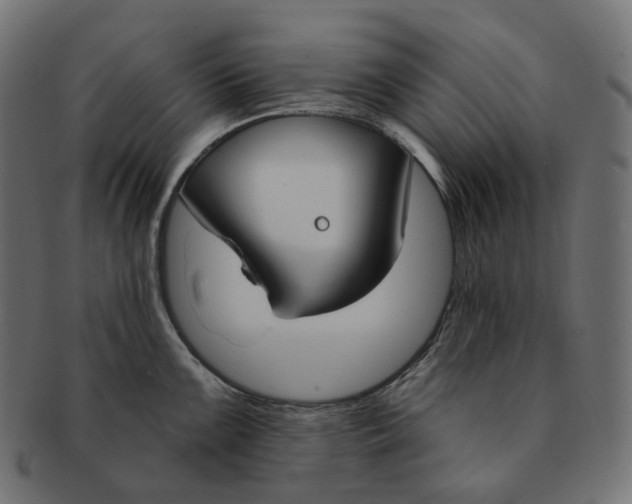 X0000091731099200709211015