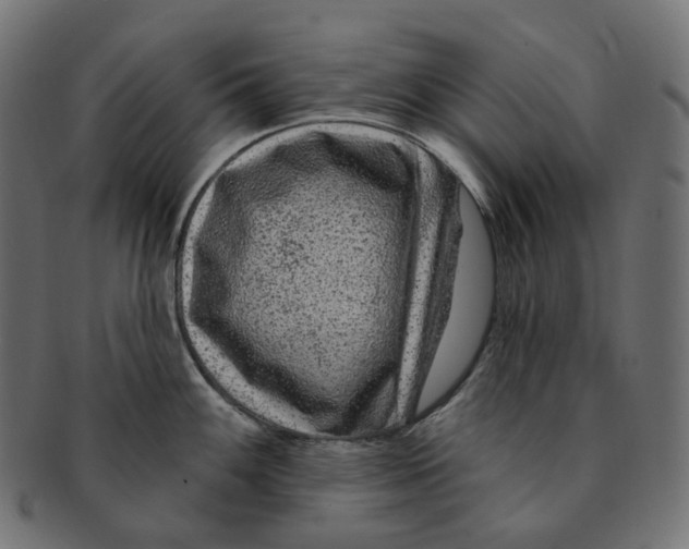 X0000091731100200709211015