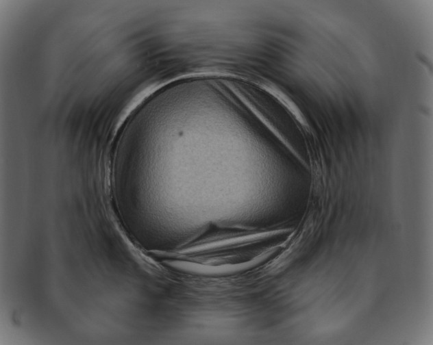 X0000091731101200709211015