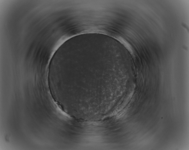 X0000091731102200709211015