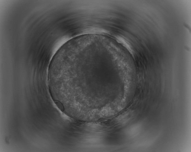 X0000091731103200709211015