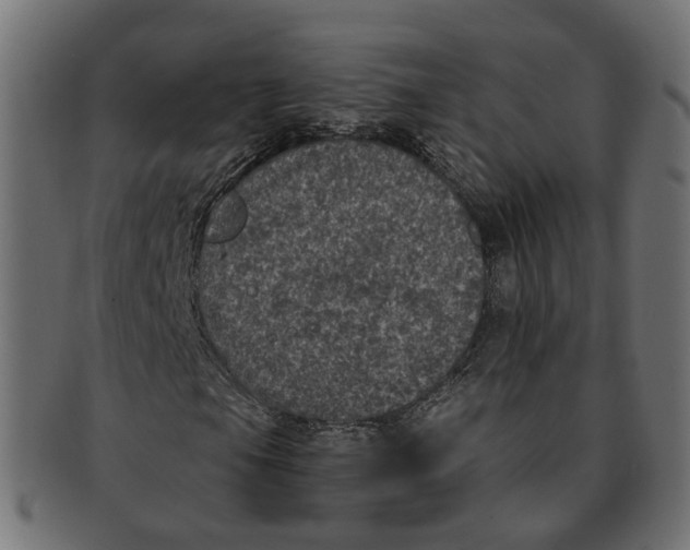 X0000091731105200709211015